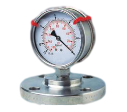 隔膜壓力錶(單法蘭 )