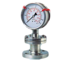 隔膜壓力錶( 雙法蘭/I字型 )